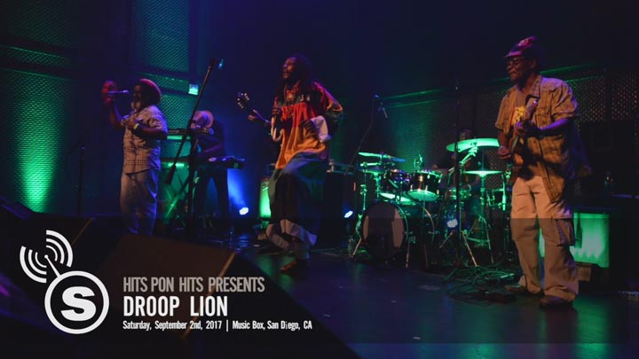Droop Lion - San Diego, CA