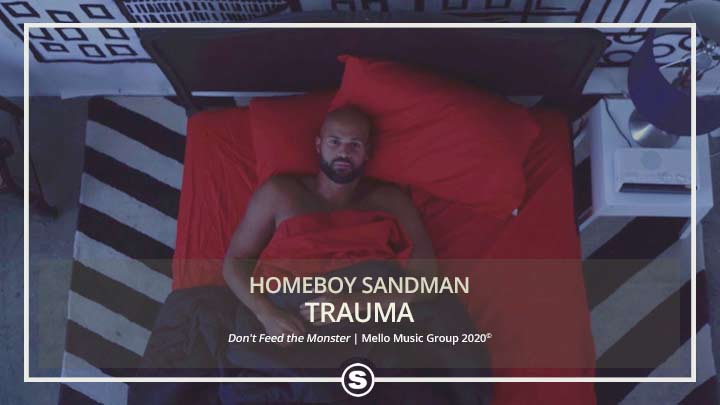 Homeboy Sandman - Trauma