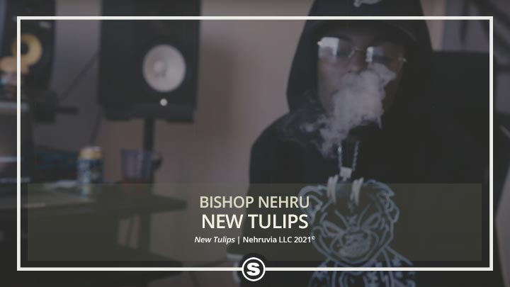 Bishop Nehru - New Tulips
