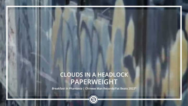 Clouds in a Headlock - Paperweight