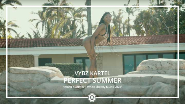 Vybz Kartel - Perfect Summer