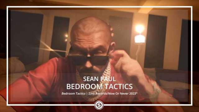 Sean Paul - Bedroom Tactics