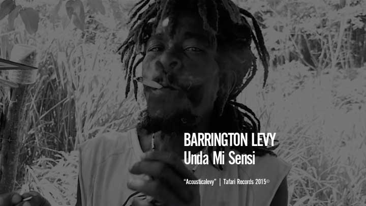 Barrington Levy - Unda Mi Sensi